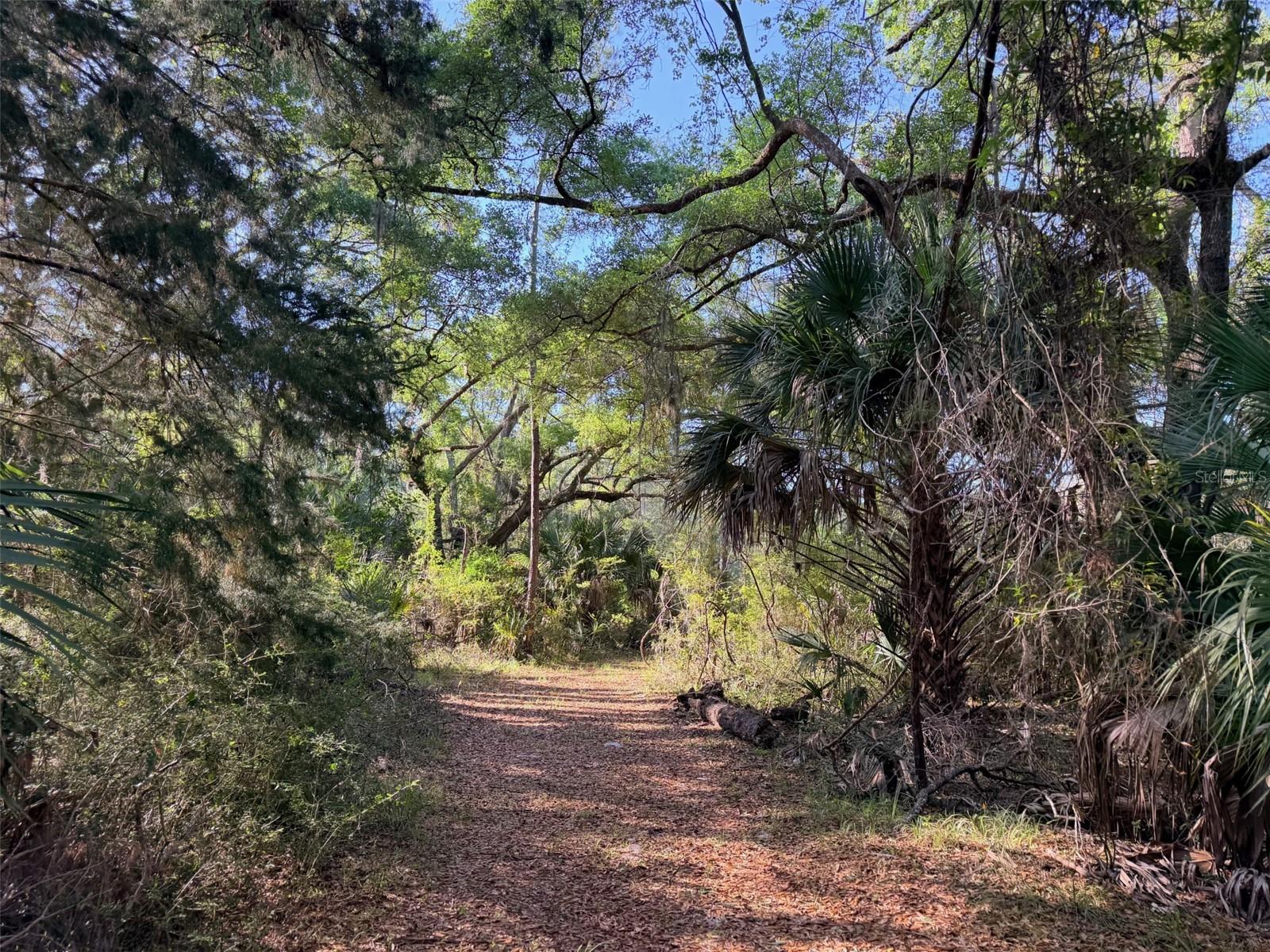 6650 NW 110TH AVE, CHIEFLAND, FL — photo 16
