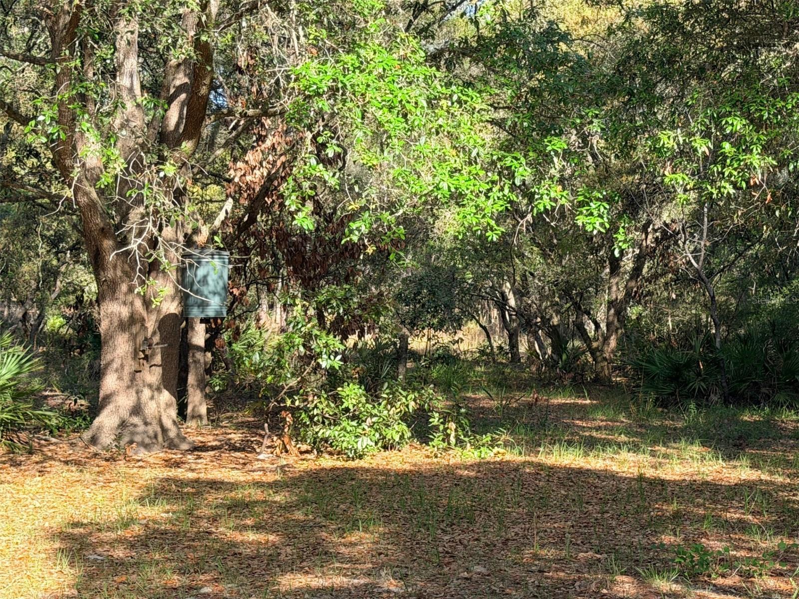 6650 NW 110TH AVE, CHIEFLAND, FL — photo 19