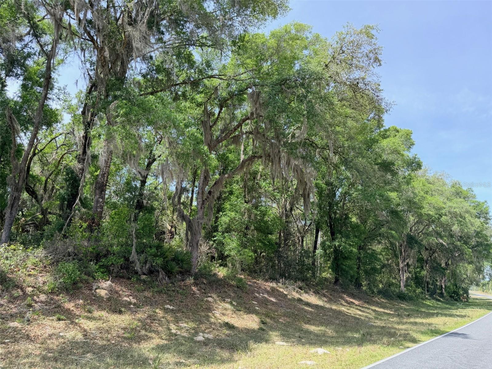 6650 NW 110TH AVE, CHIEFLAND, FL — photo 21