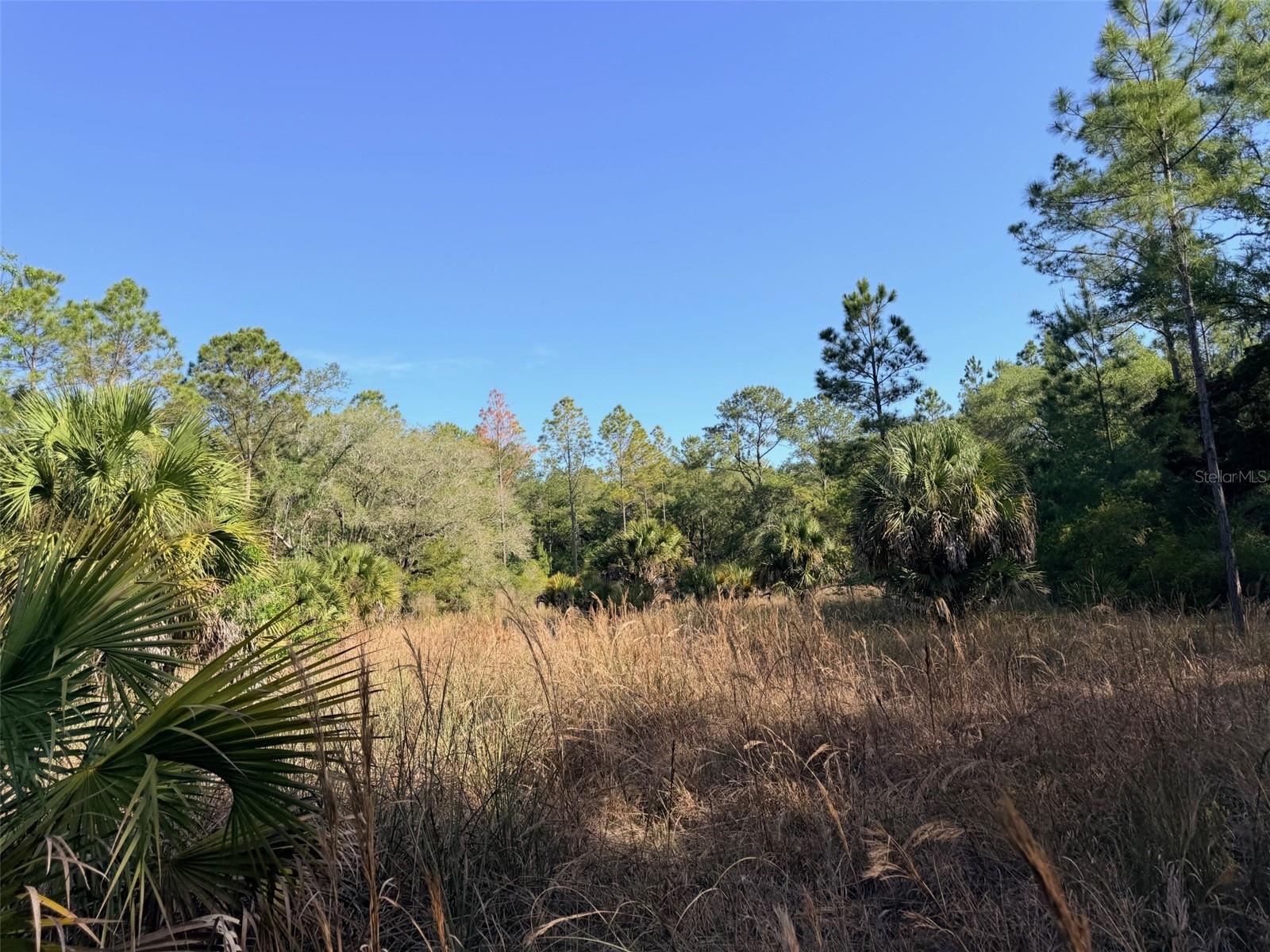 6650 NW 110TH AVE, CHIEFLAND, FL — photo 22