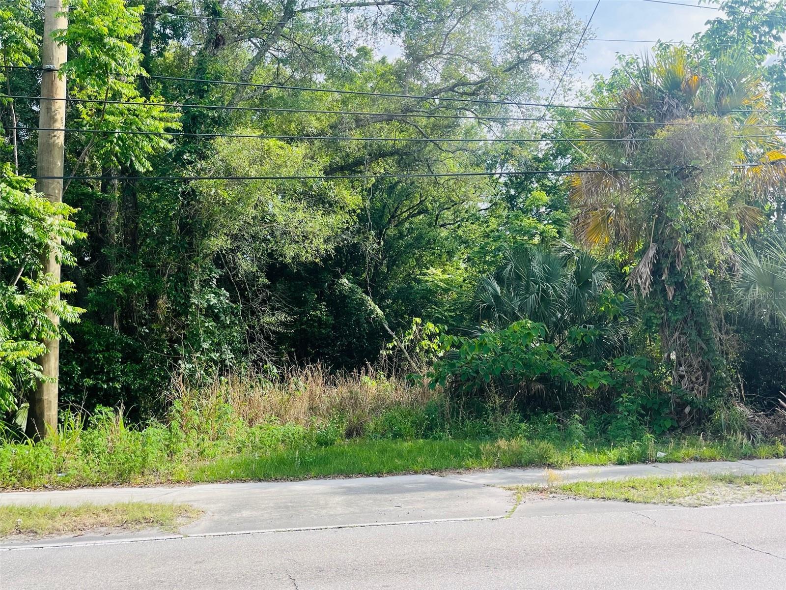 TBD CELERY AVE, SANFORD, FL — photo 4