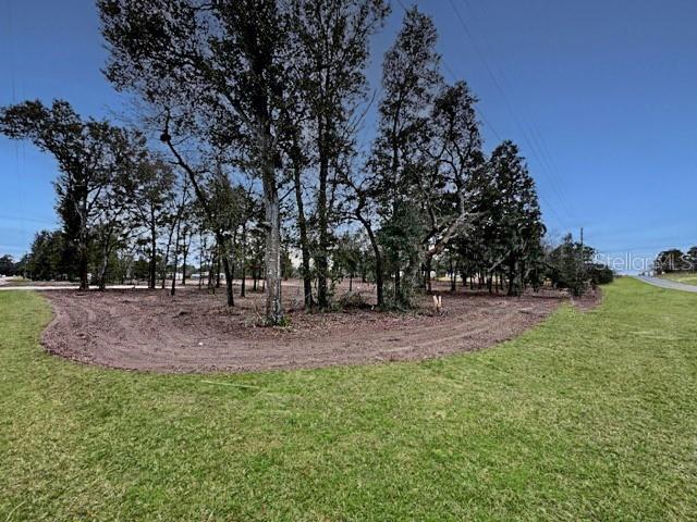 TBD SE 148TH TER, MORRISTON, FL — photo 2