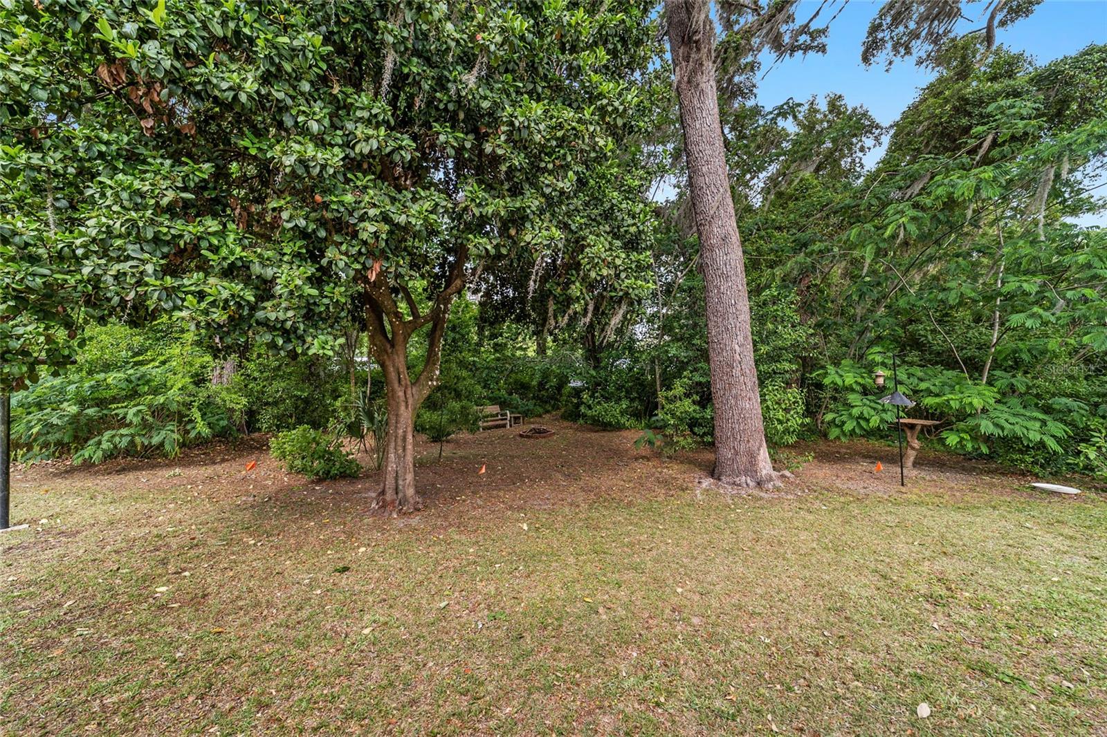 3460 SE 131ST PL, BELLEVIEW, FL — photo 60