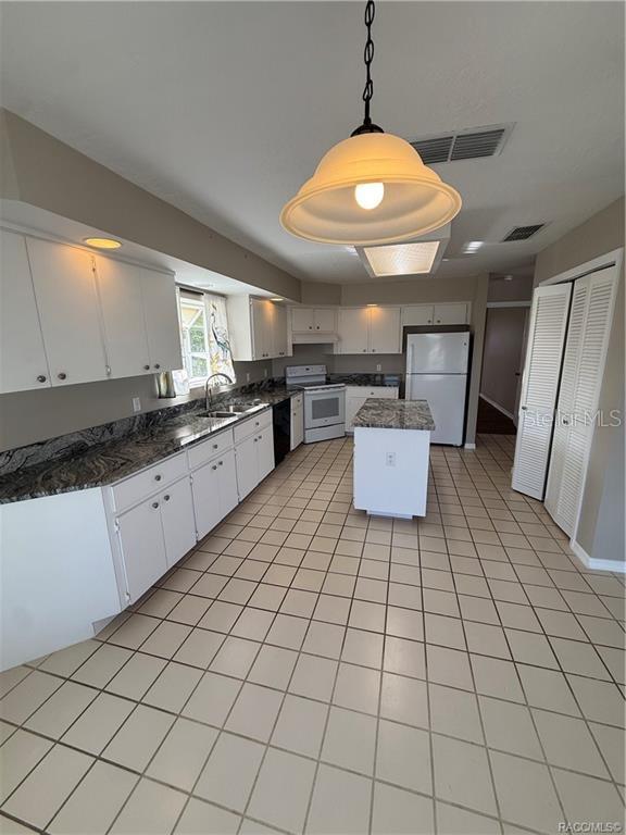 838 W BOGART CT, BEVERLY HILLS, FL — photo 9