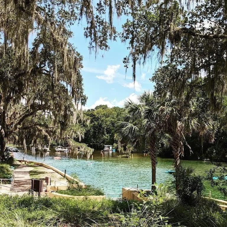 13261 NE 155TH LN, FORT MC COY, FL — photo 48
