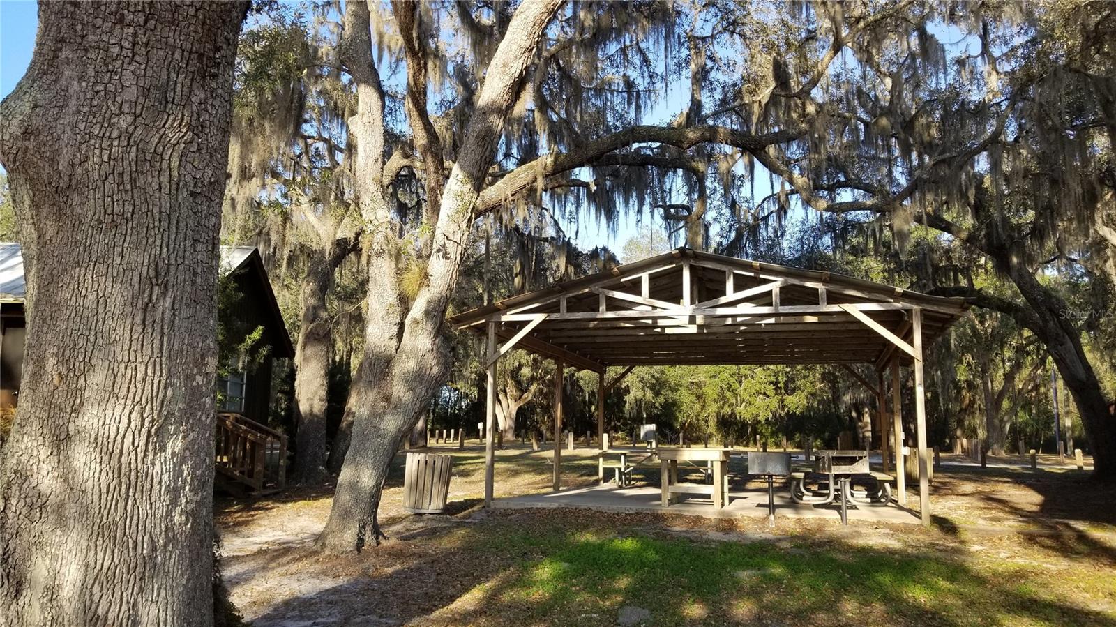 13261 NE 155TH LN, FORT MC COY, FL — photo 73