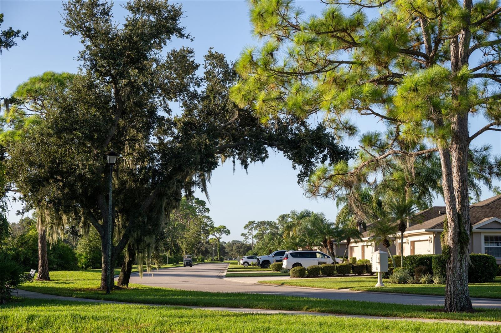 5231 MAHOGANY RUN AVE #325, SARASOTA, FL — photo 69