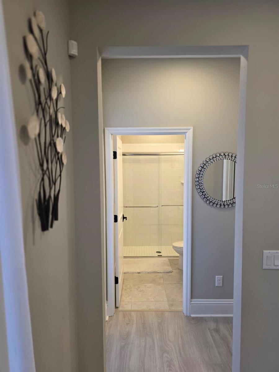 7520 GREENHEART CT, WESLEY CHAPEL, FL — photo 22