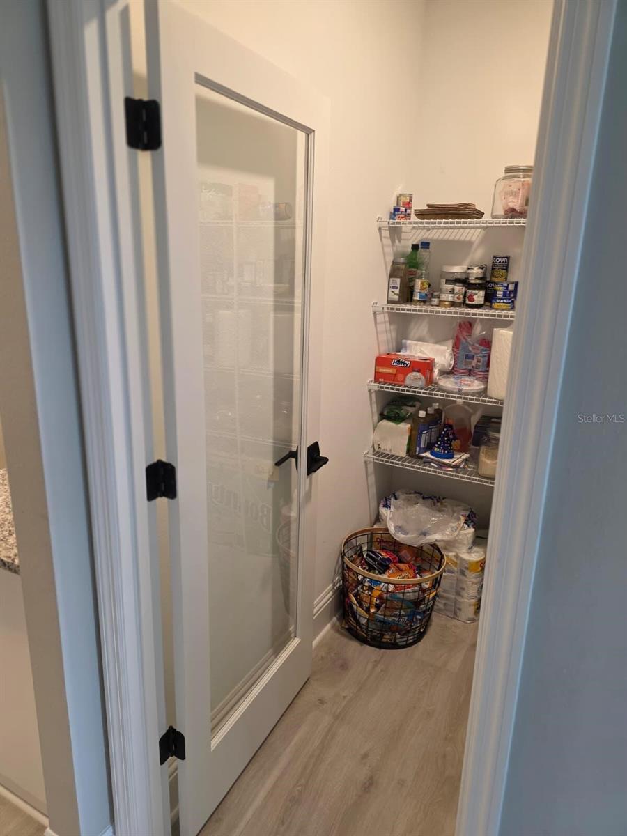 7520 GREENHEART CT, WESLEY CHAPEL, FL — photo 26