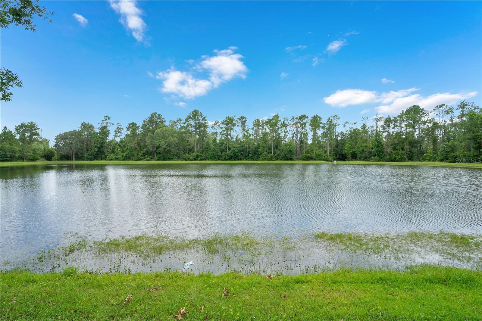1845 CORNER MEADOW CIR, ORLANDO, FL — photo 18