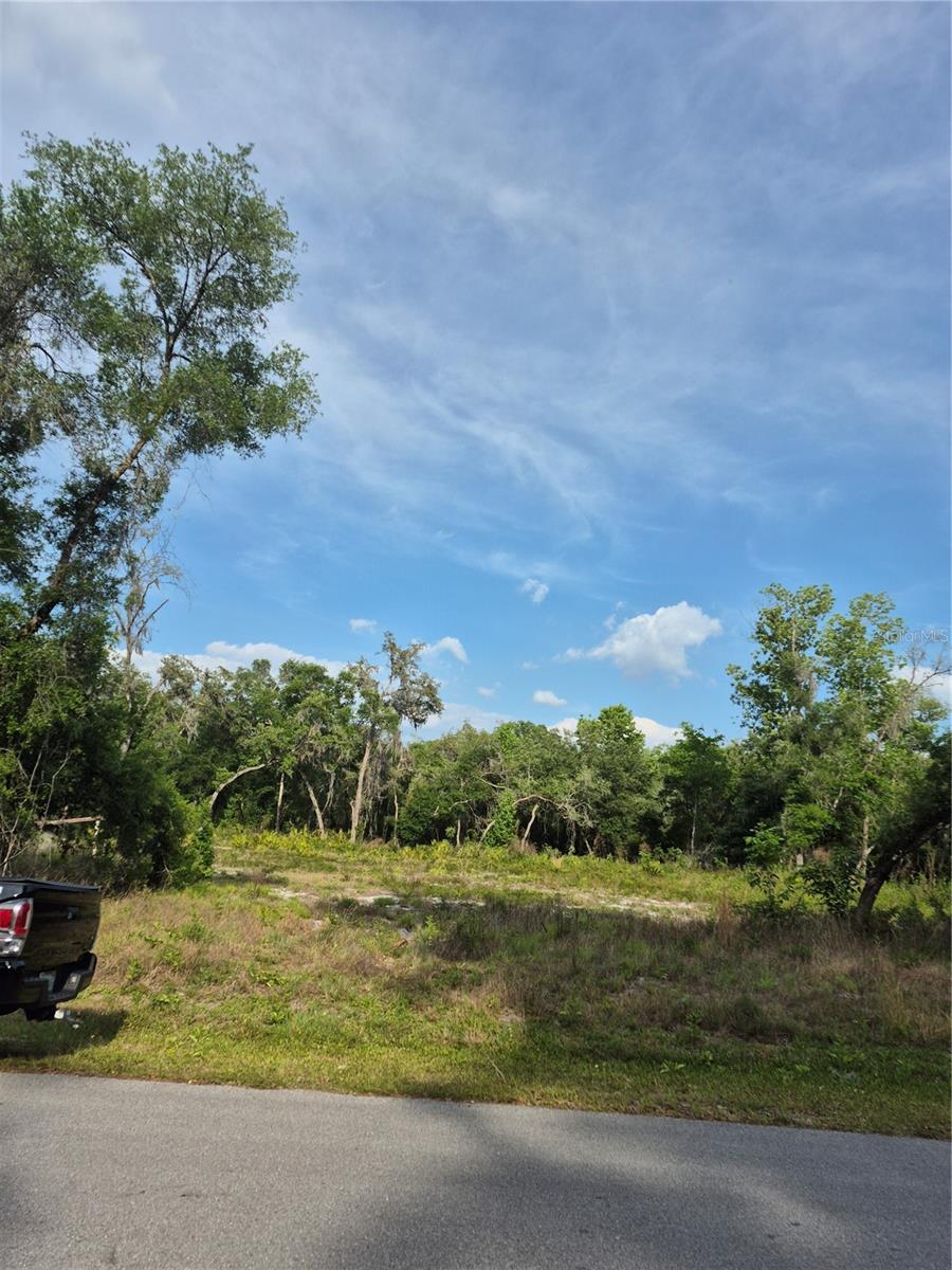 7490 SHASTA ST, WEBSTER, FL