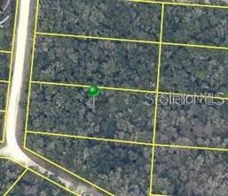 7490 SHASTA ST, WEBSTER, FL — photo 3