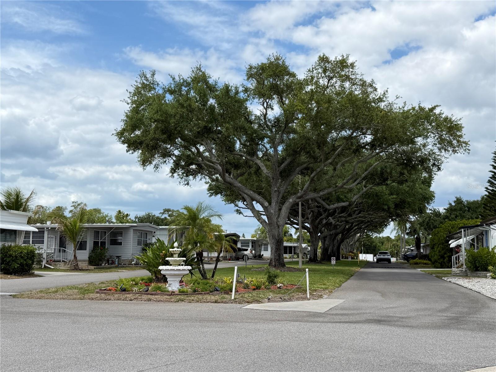 2331 BELLEAIR RD #529, CLEARWATER, FL — photo 52