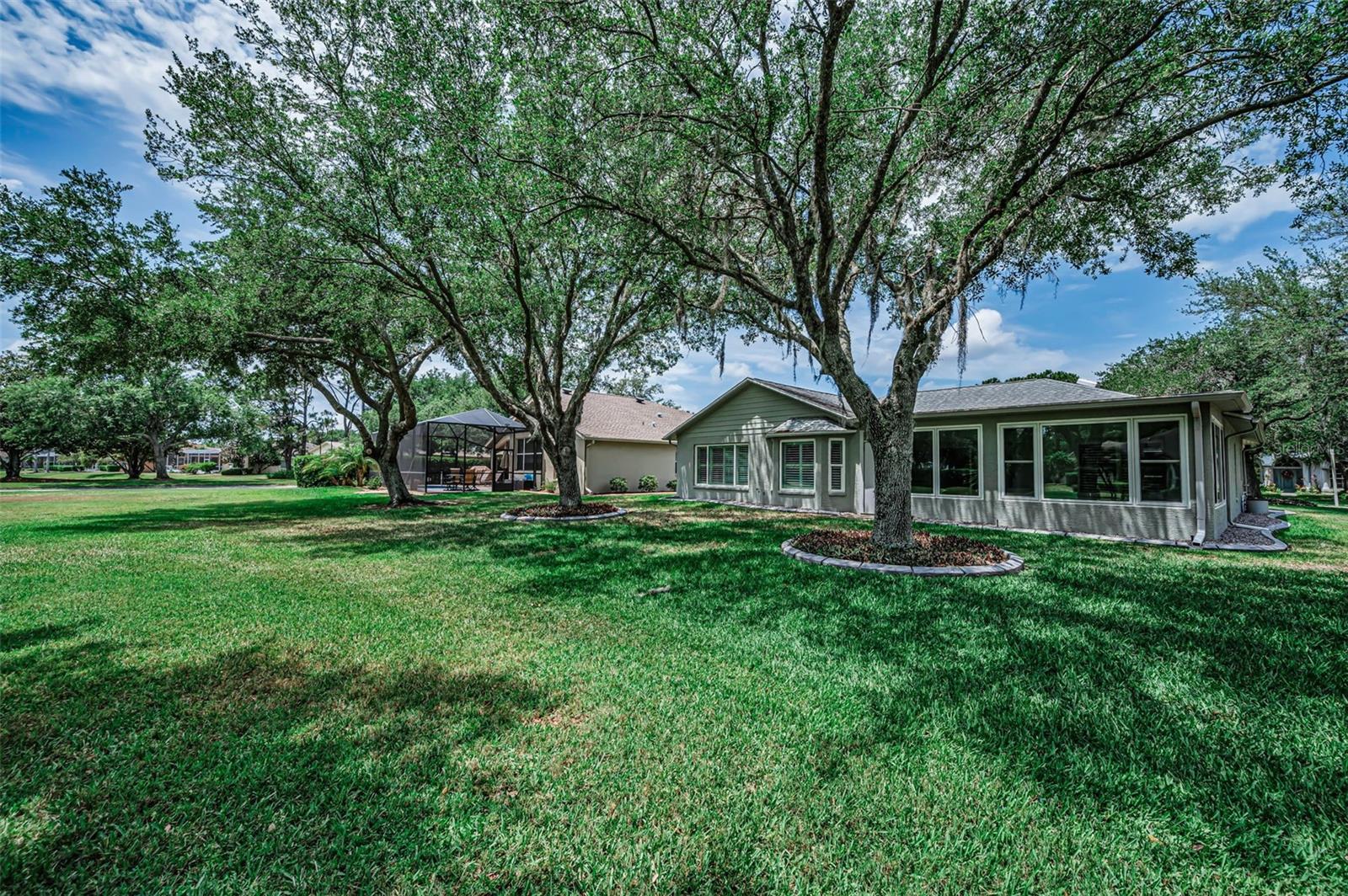 1300 FALLOWFIELD DR, TRINITY, FL — photo 32