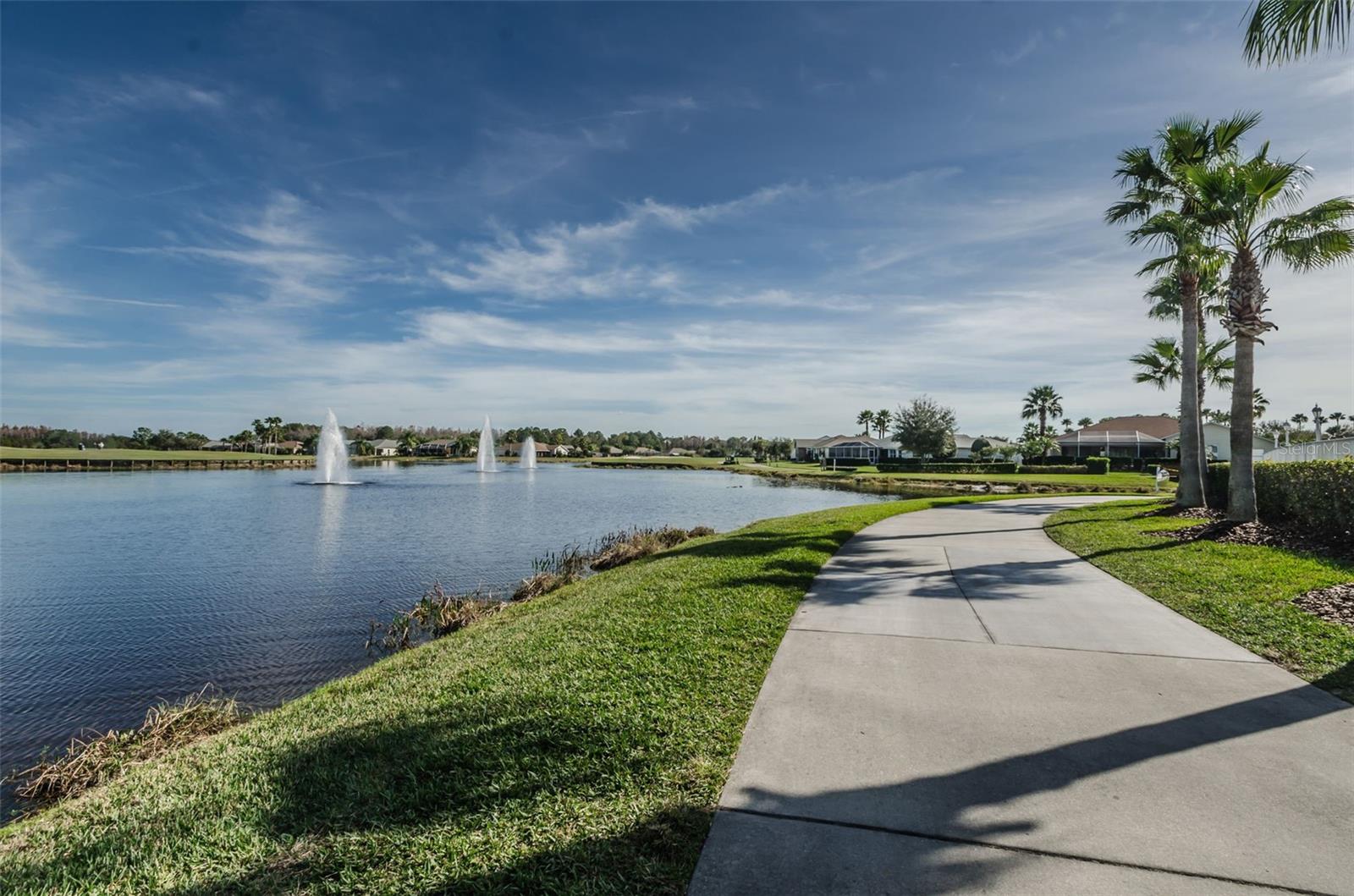 1300 FALLOWFIELD DR, TRINITY, FL — photo 94