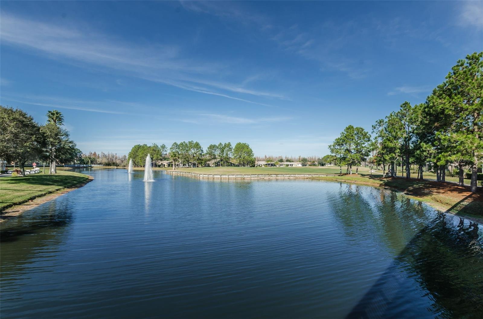 1300 FALLOWFIELD DR, TRINITY, FL — photo 96