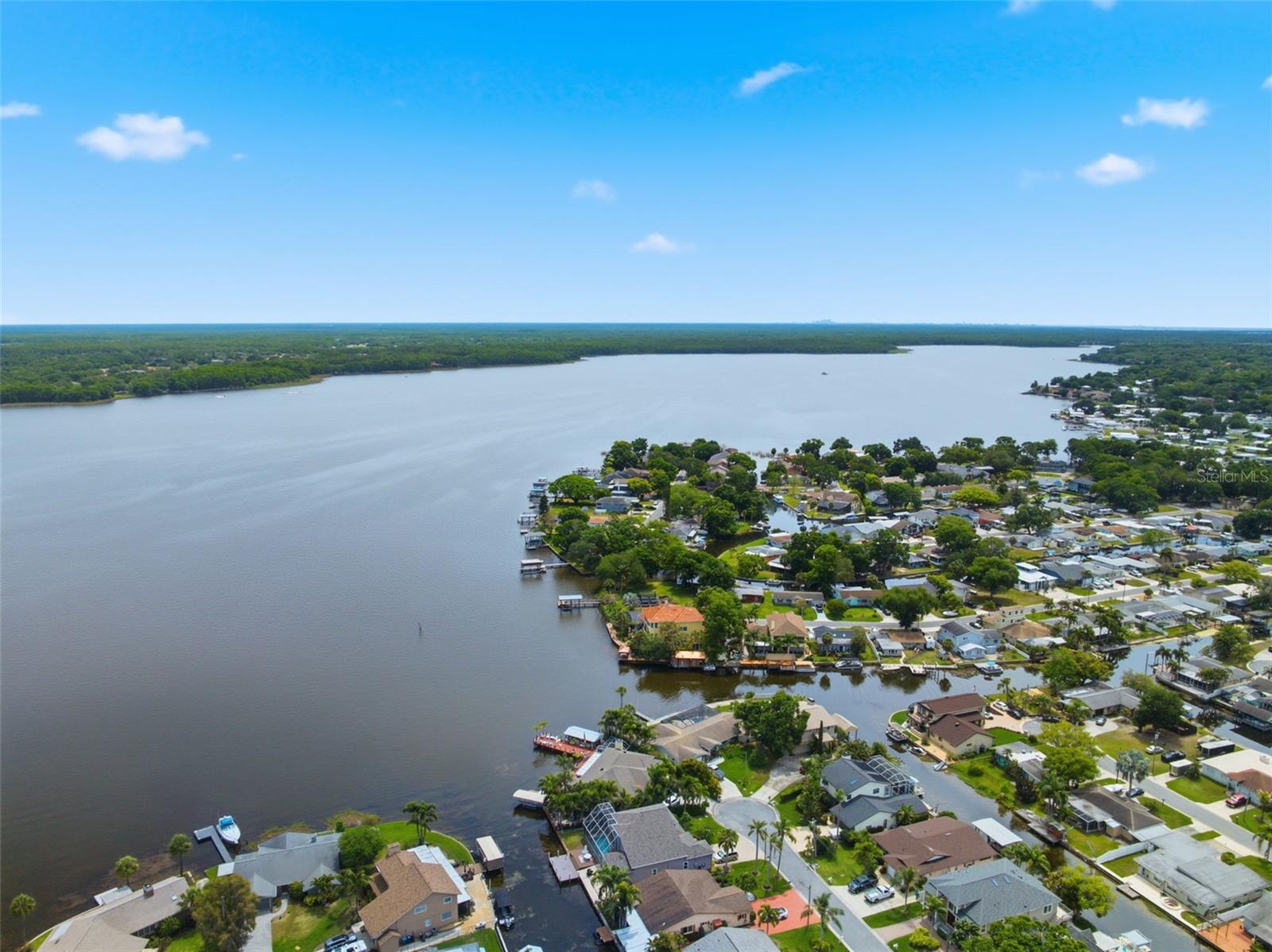 51 CYPRESS DR, PALM HARBOR, FL — photo 56
