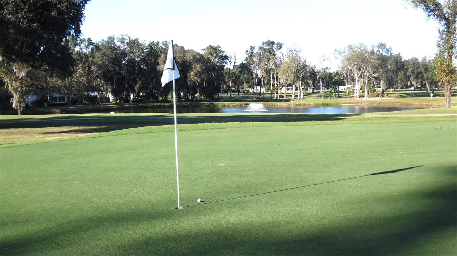 2 GROVE TRAIL, WILDWOOD, FL — photo 33