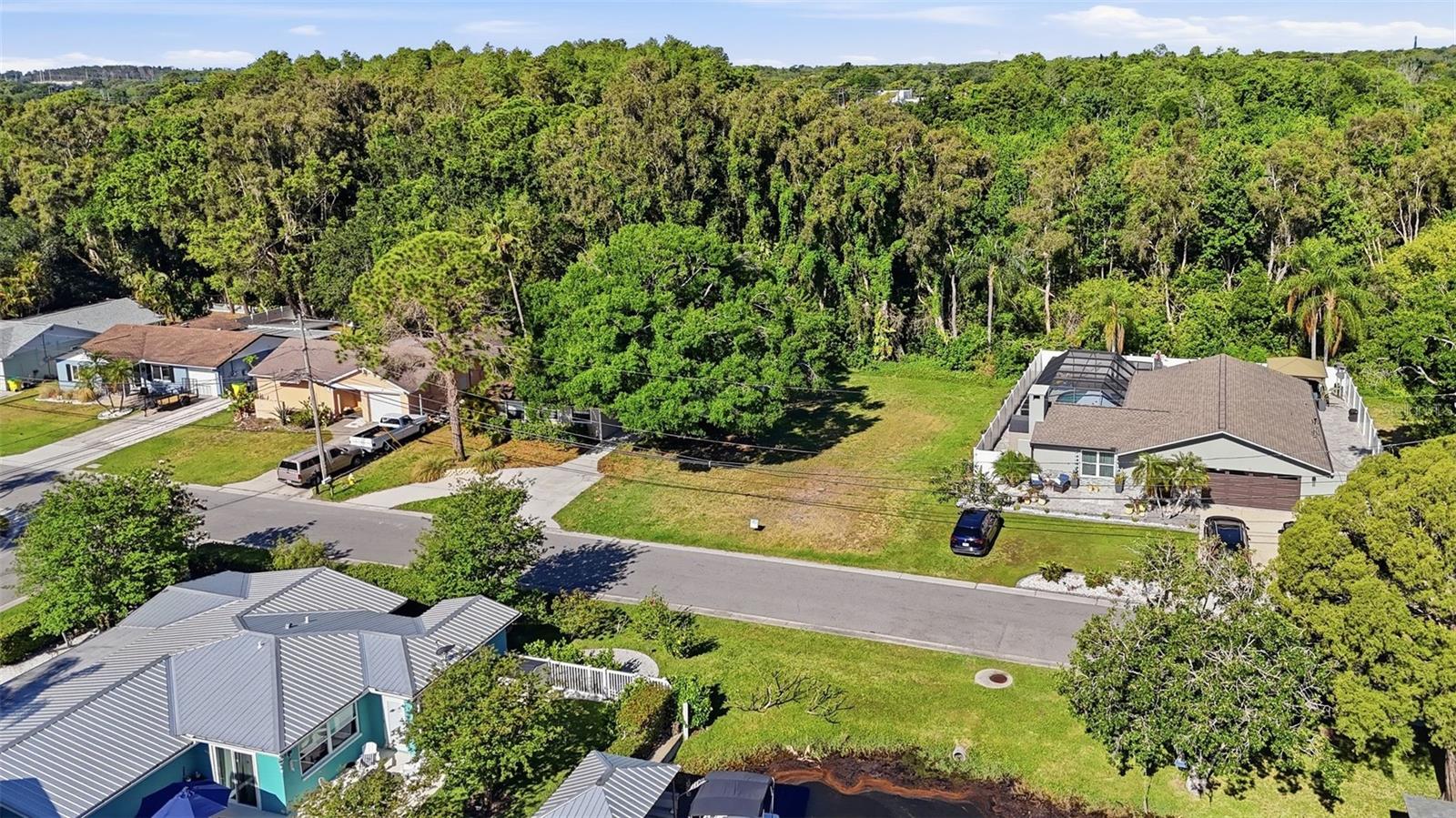 10 FRESHWATER DR, PALM HARBOR, FL — photo 9