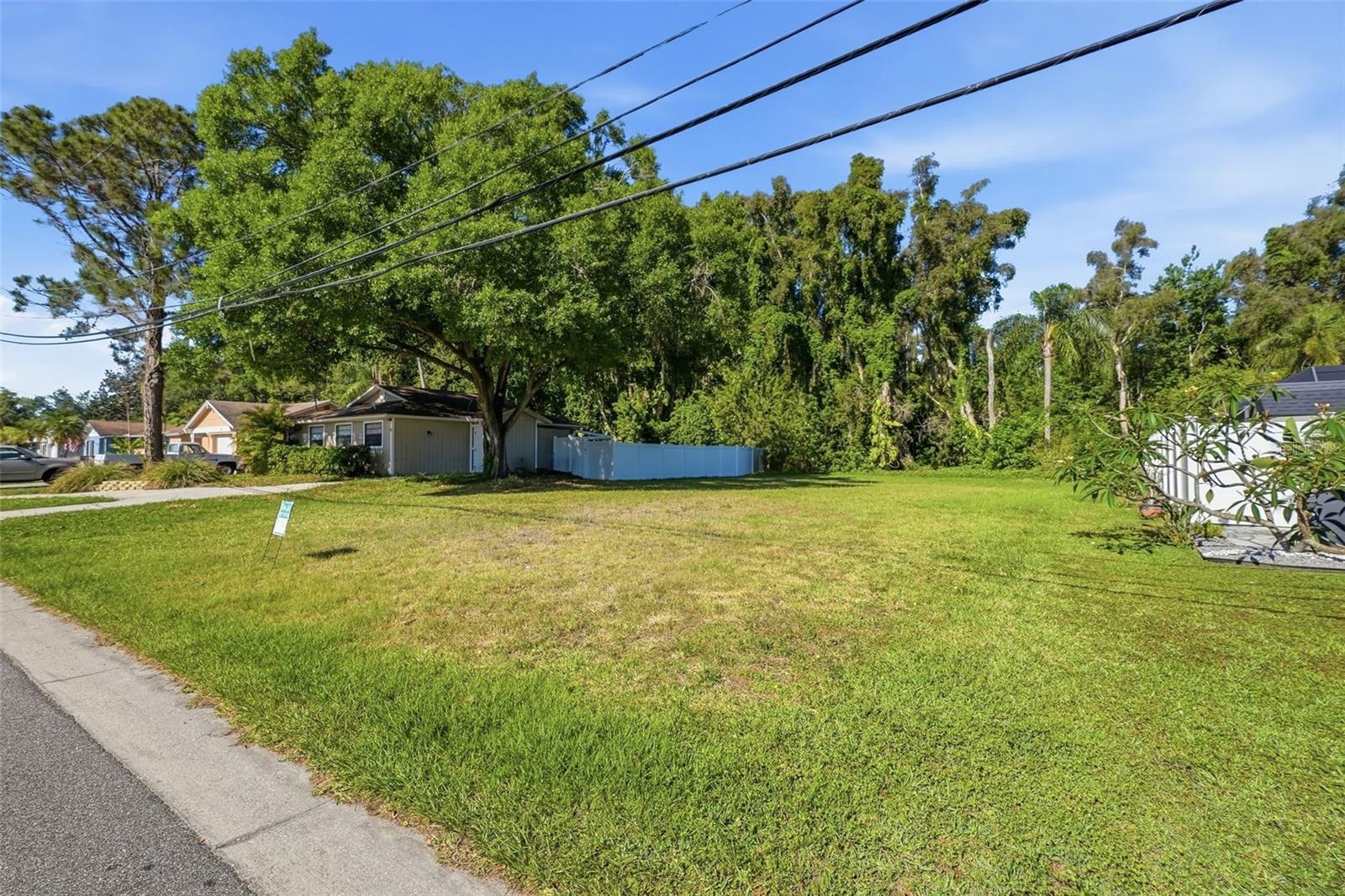 10 FRESHWATER DR, PALM HARBOR, FL — photo 12