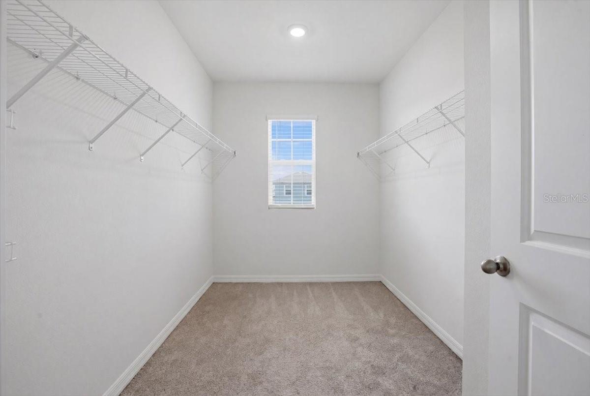 3126 SUNCOAST BLEND DR, ODESSA, FL — photo 36