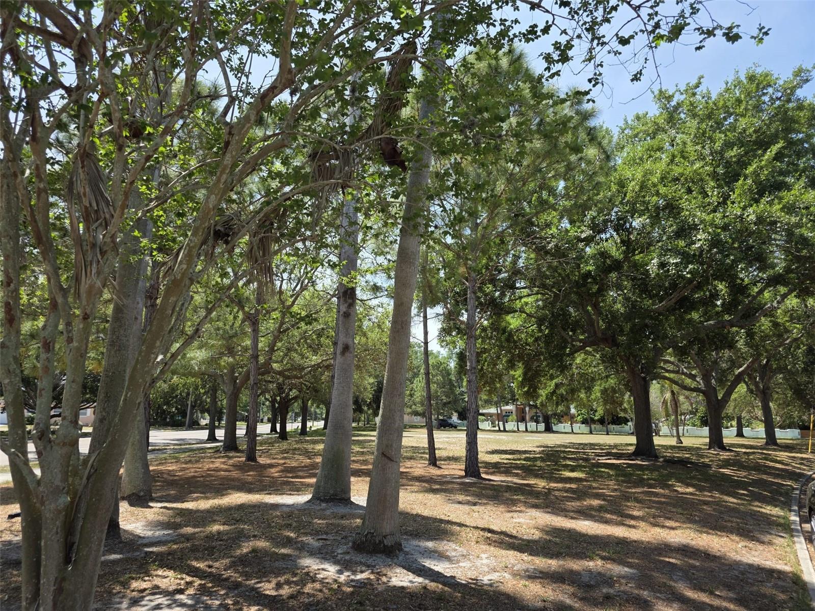 5210 DR MARTIN LUTHER KING JR ST N ST, ST PETERSBURG, FL — photo 26