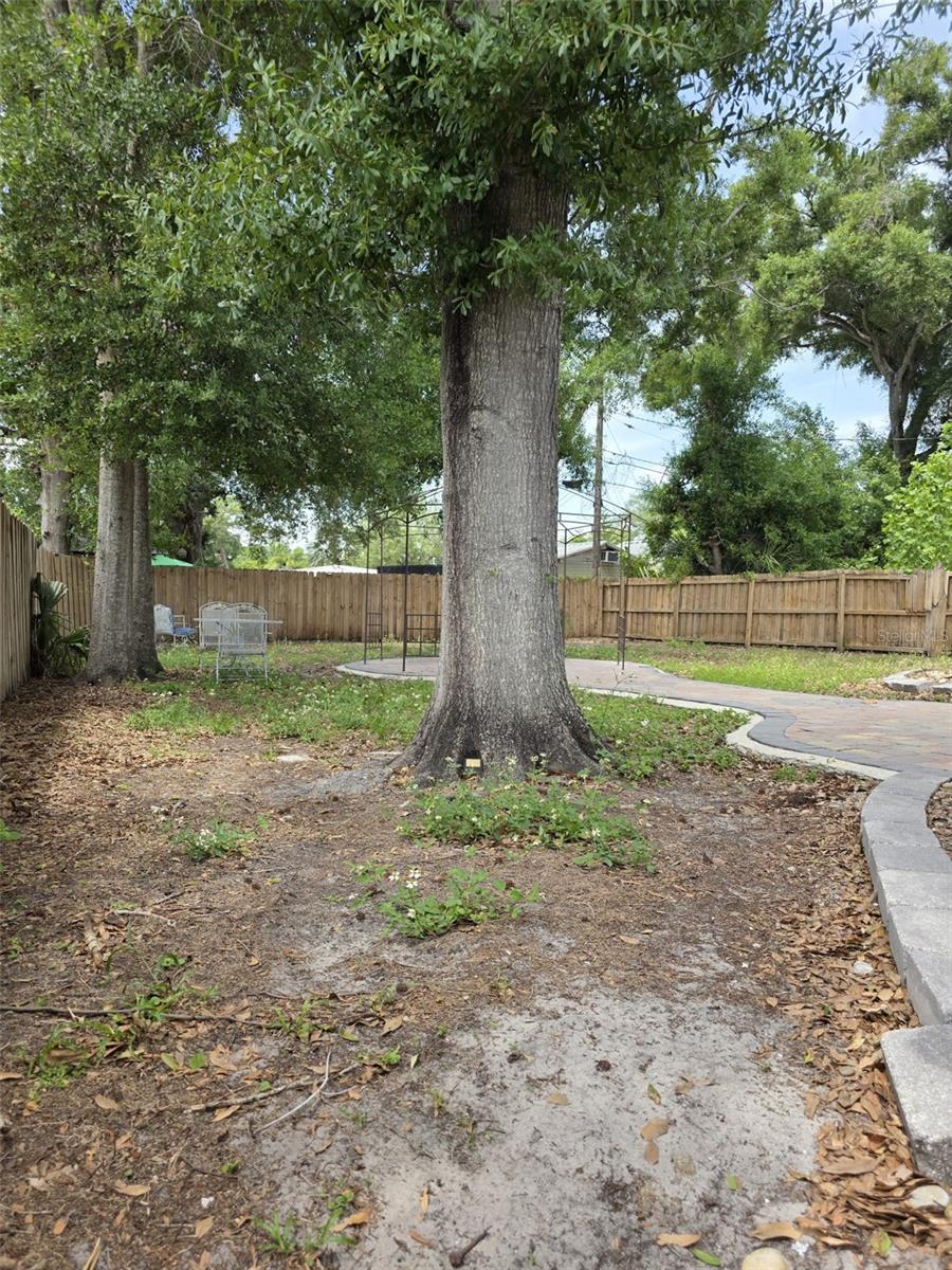 5210 DR MARTIN LUTHER KING JR ST N ST, ST PETERSBURG, FL — photo 43