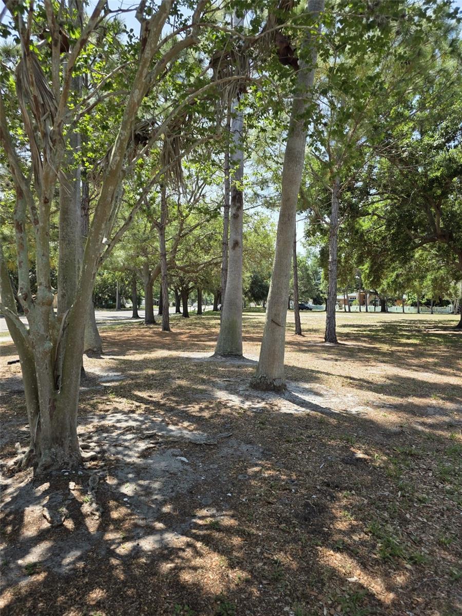 5210 DR MARTIN LUTHER KING JR ST N ST, ST PETERSBURG, FL — photo 47