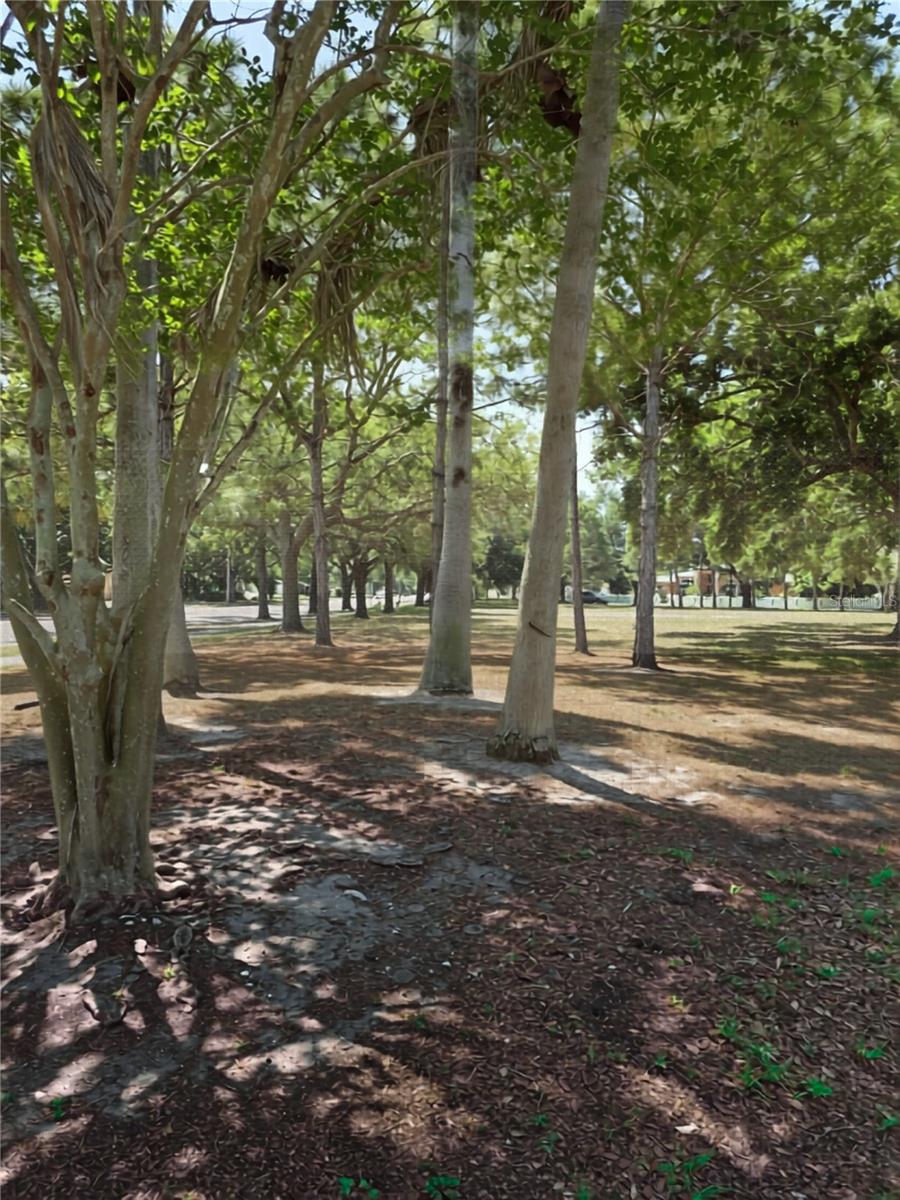5210 DR MARTIN LUTHER KING JR ST N ST, ST PETERSBURG, FL — photo 50