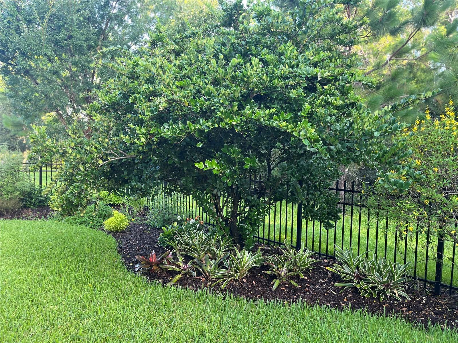 1169 AVERY MEADOWS WAY, DELAND, FL — photo 31