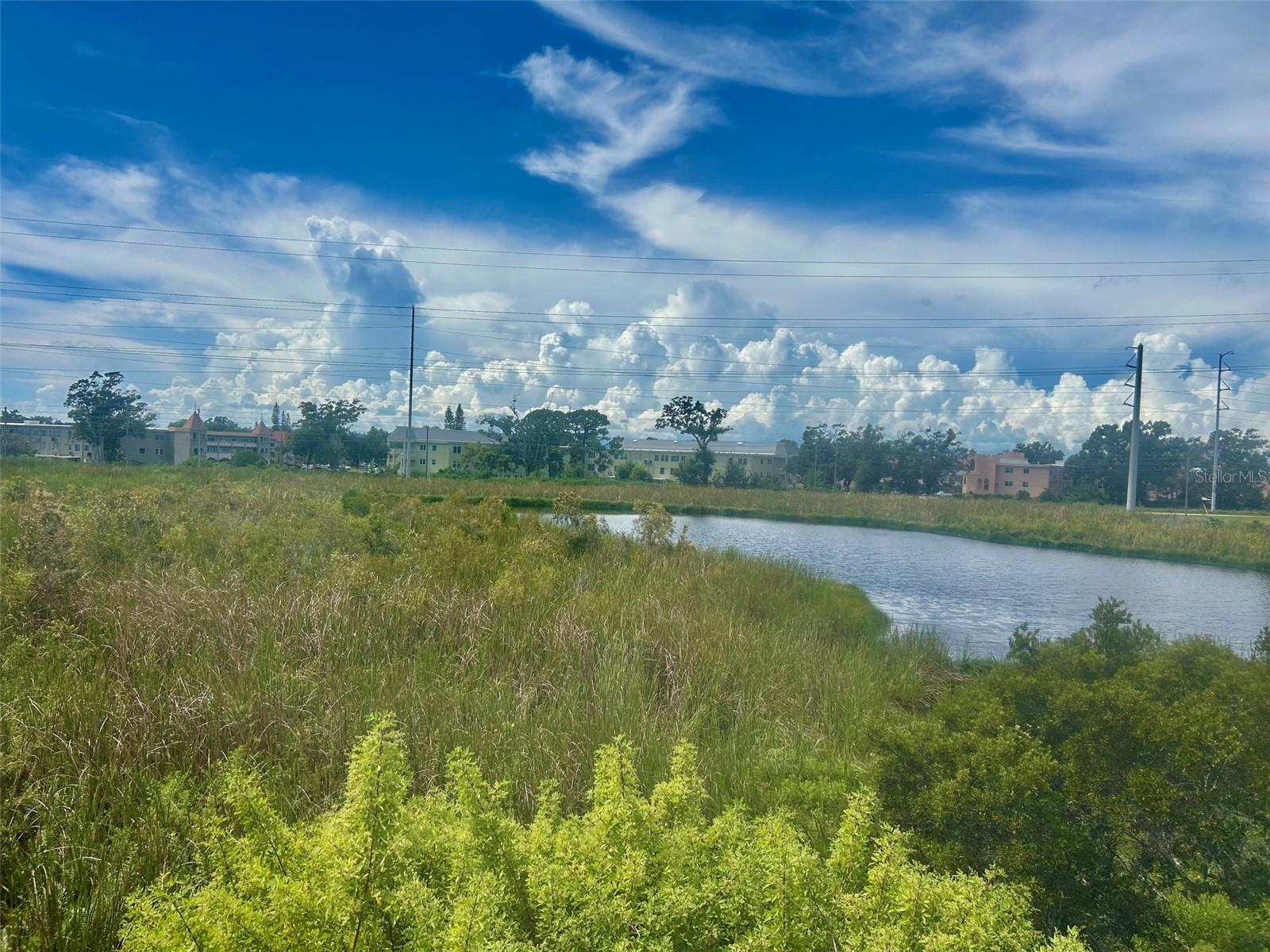2078 SUN DOWN DR, CLEARWATER, FL — photo 21