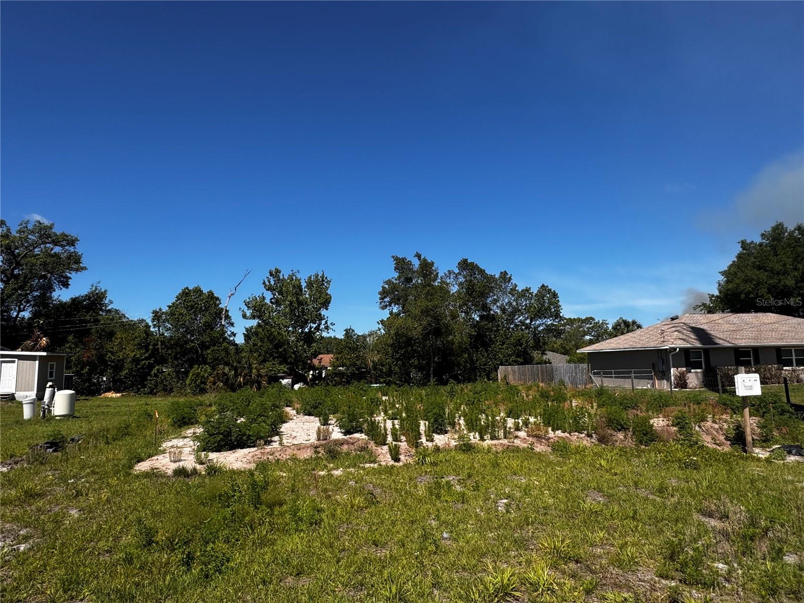 250 WILLIAMS AVE, ORANGE CITY, FL — photo 5