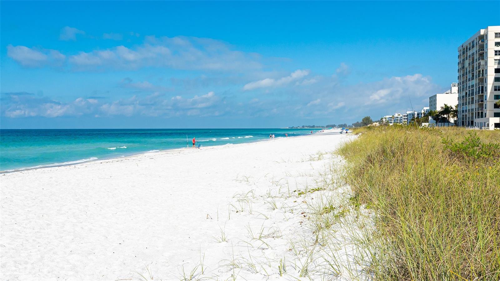 4325 GULF OF MEXICO DR #305, LONGBOAT KEY, FL — photo 33