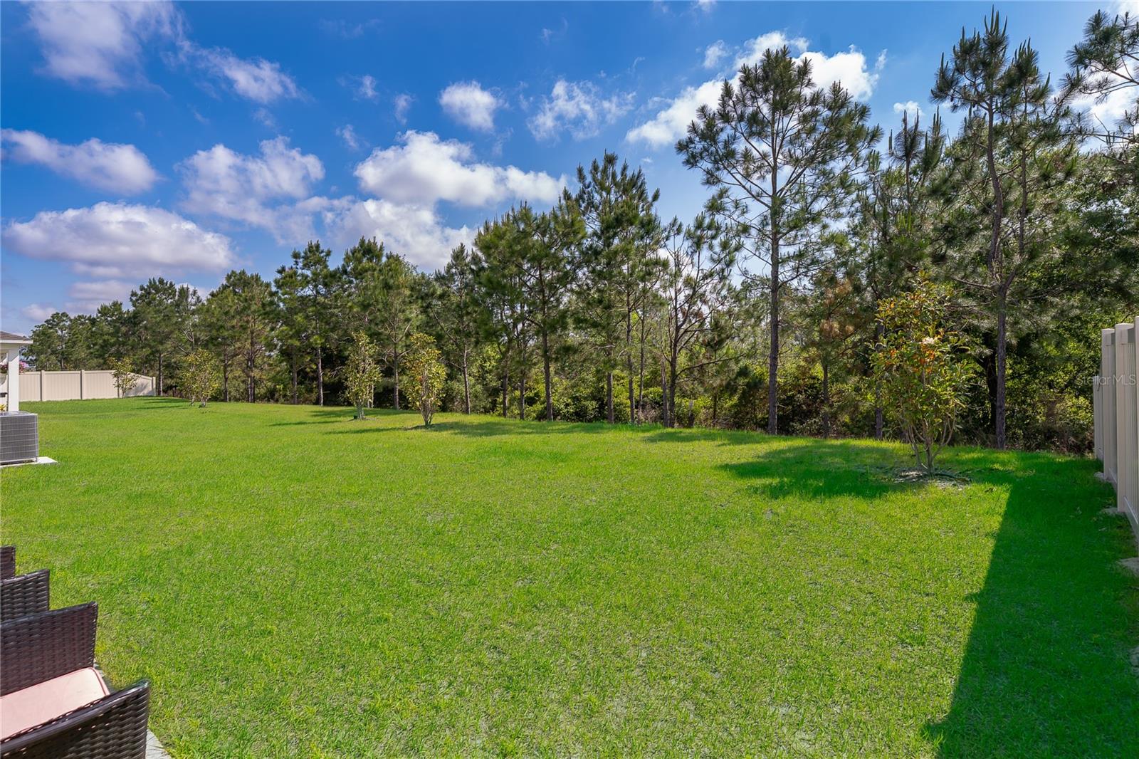 3390 SANCTUARY DR, CLERMONT, FL — photo 44