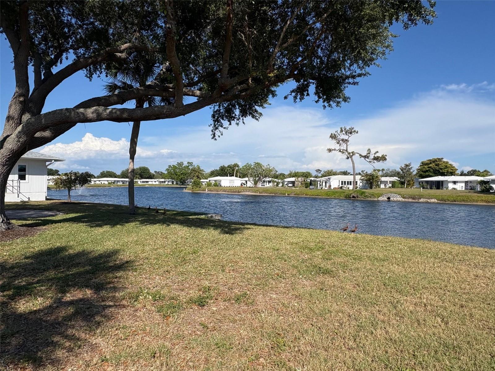 690 CIRCLEWOOD DR #W8, VENICE, FL — photo 52