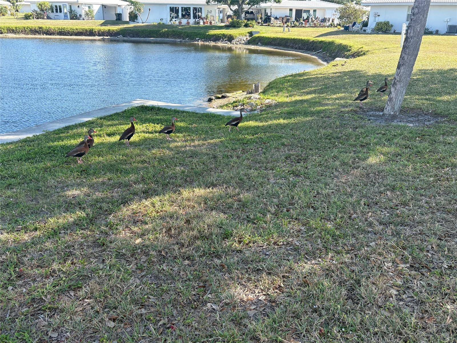690 CIRCLEWOOD DR #W8, VENICE, FL — photo 54