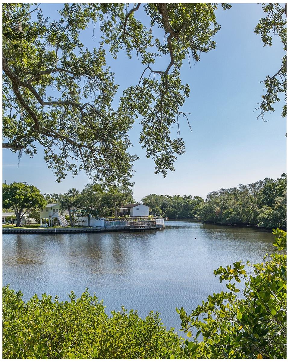 9001 TUDOR DR #H210, TAMPA, FL — photo 41