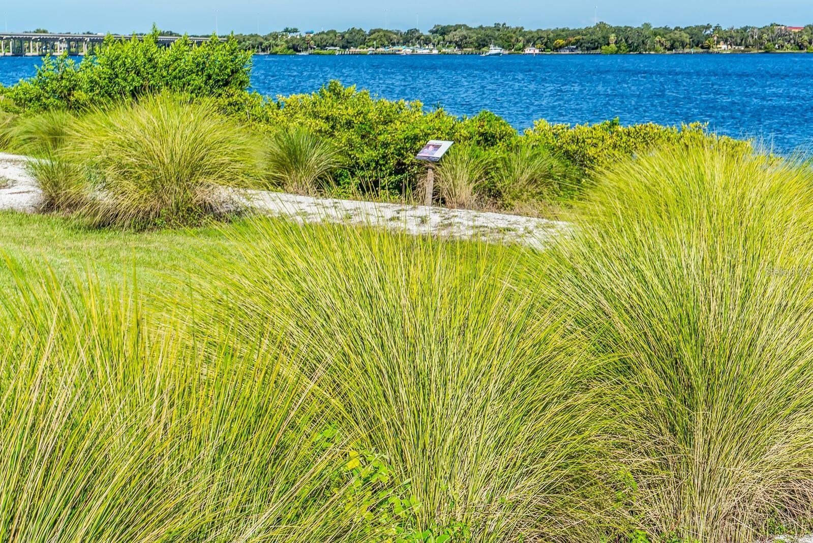 917 TIDEWATER SHORES LOOP, BRADENTON, FL — photo 40