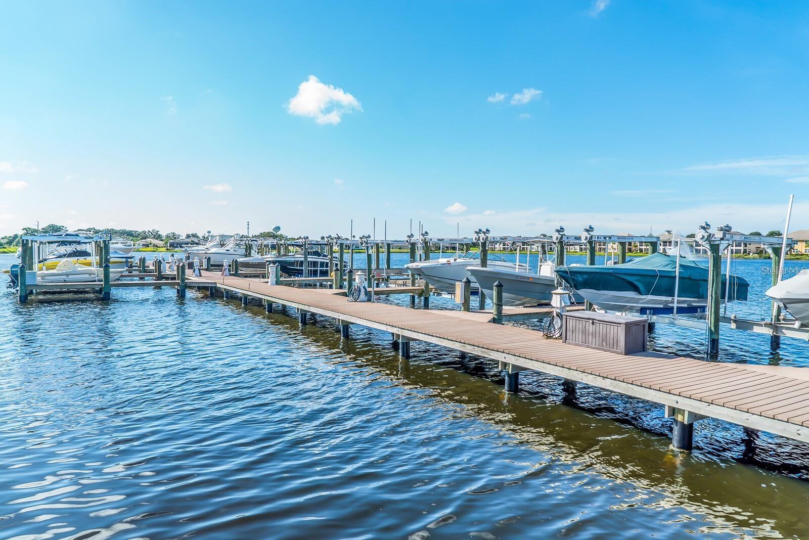 917 TIDEWATER SHORES LOOP, BRADENTON, FL — photo 46