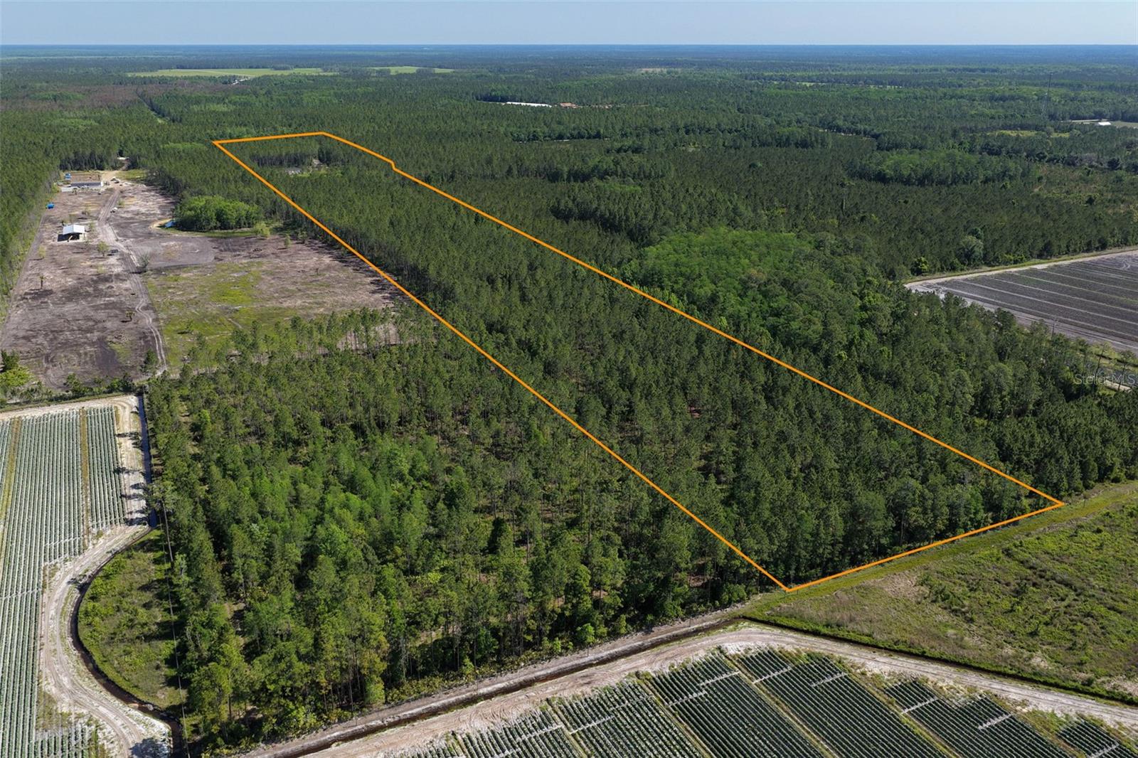 15539 COUNTY RD 305, BUNNELL, FL — photo 53