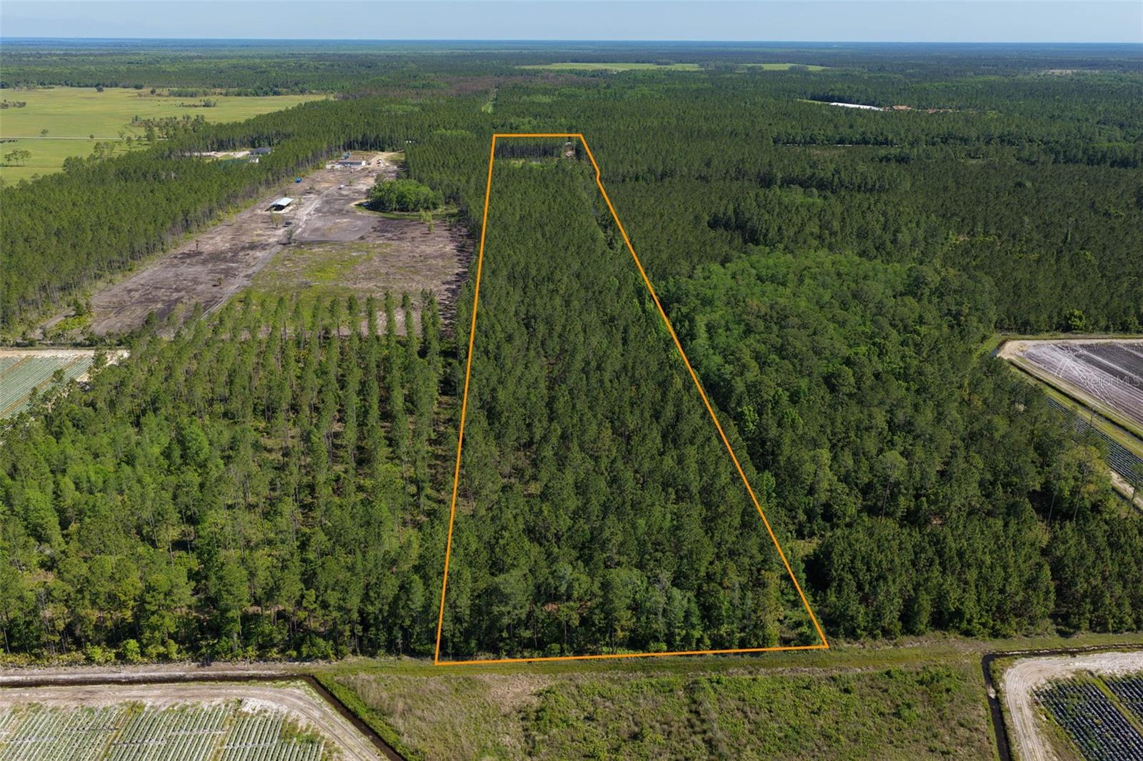15539 COUNTY RD 305, BUNNELL, FL — photo 55