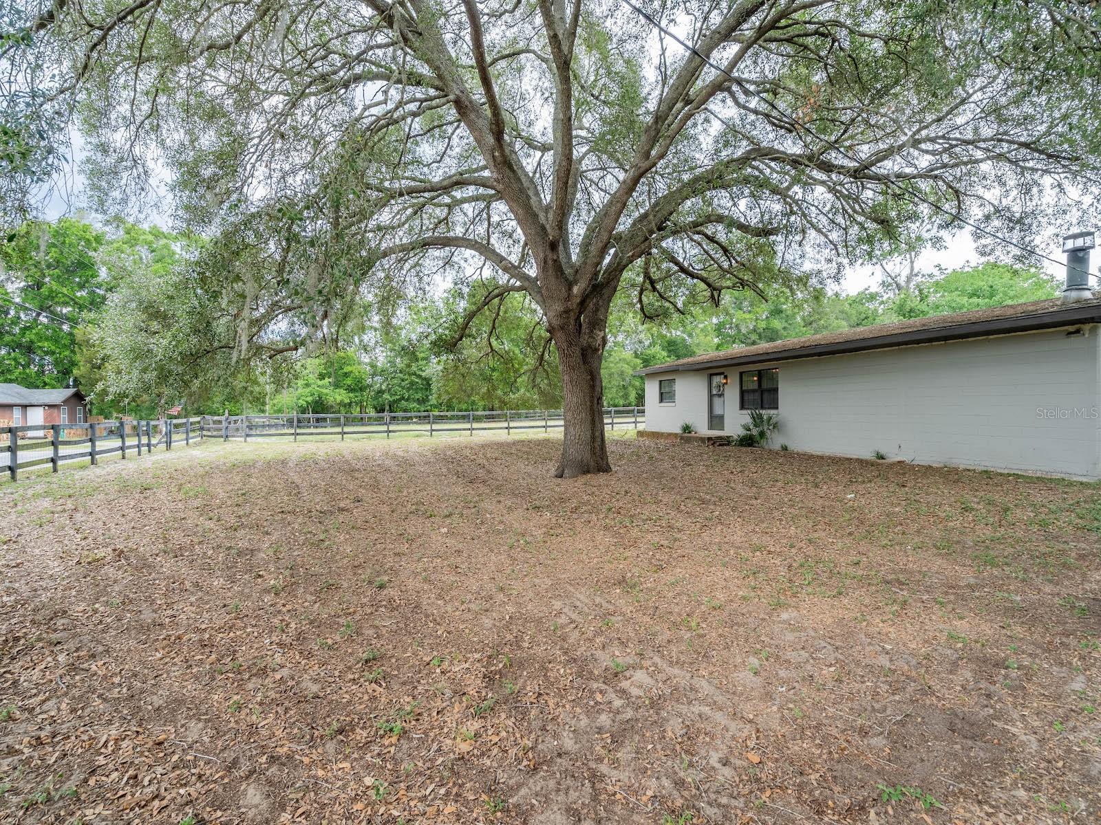 4521 NE 28TH AVE, OCALA, FL — photo 53