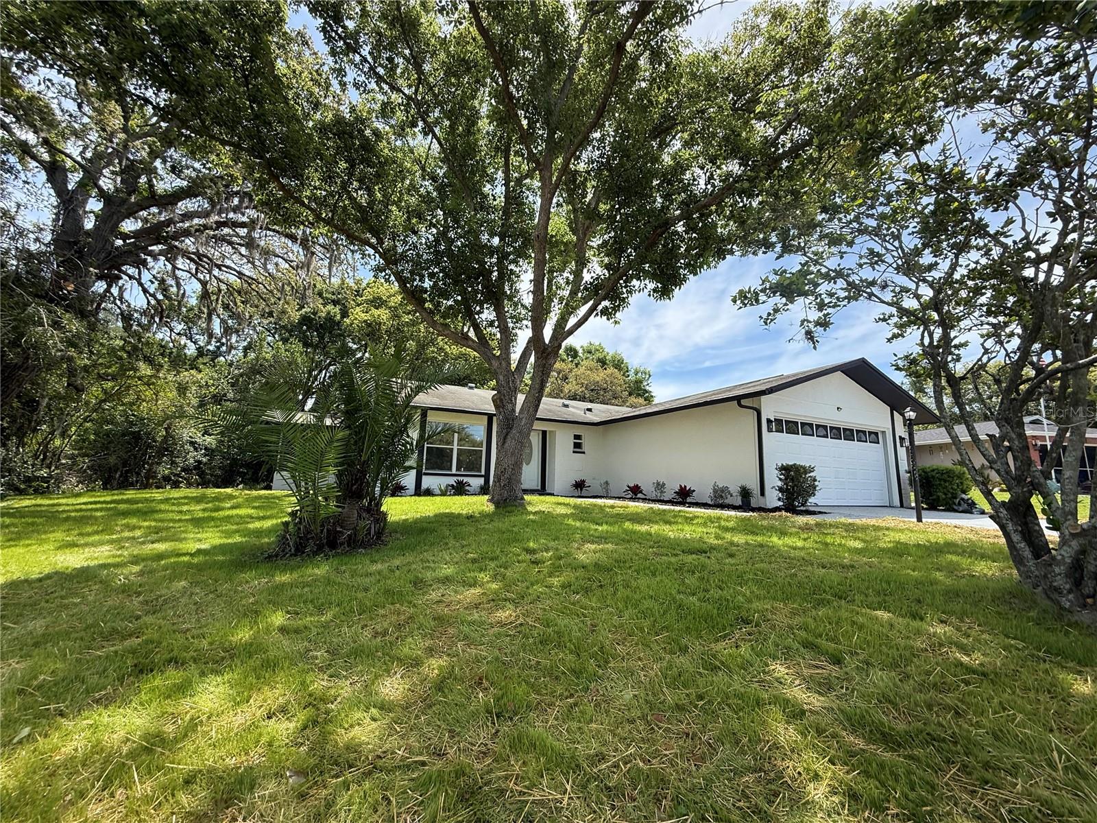 10501 HARDWOOD CT, PORT RICHEY, FL — photo 3
