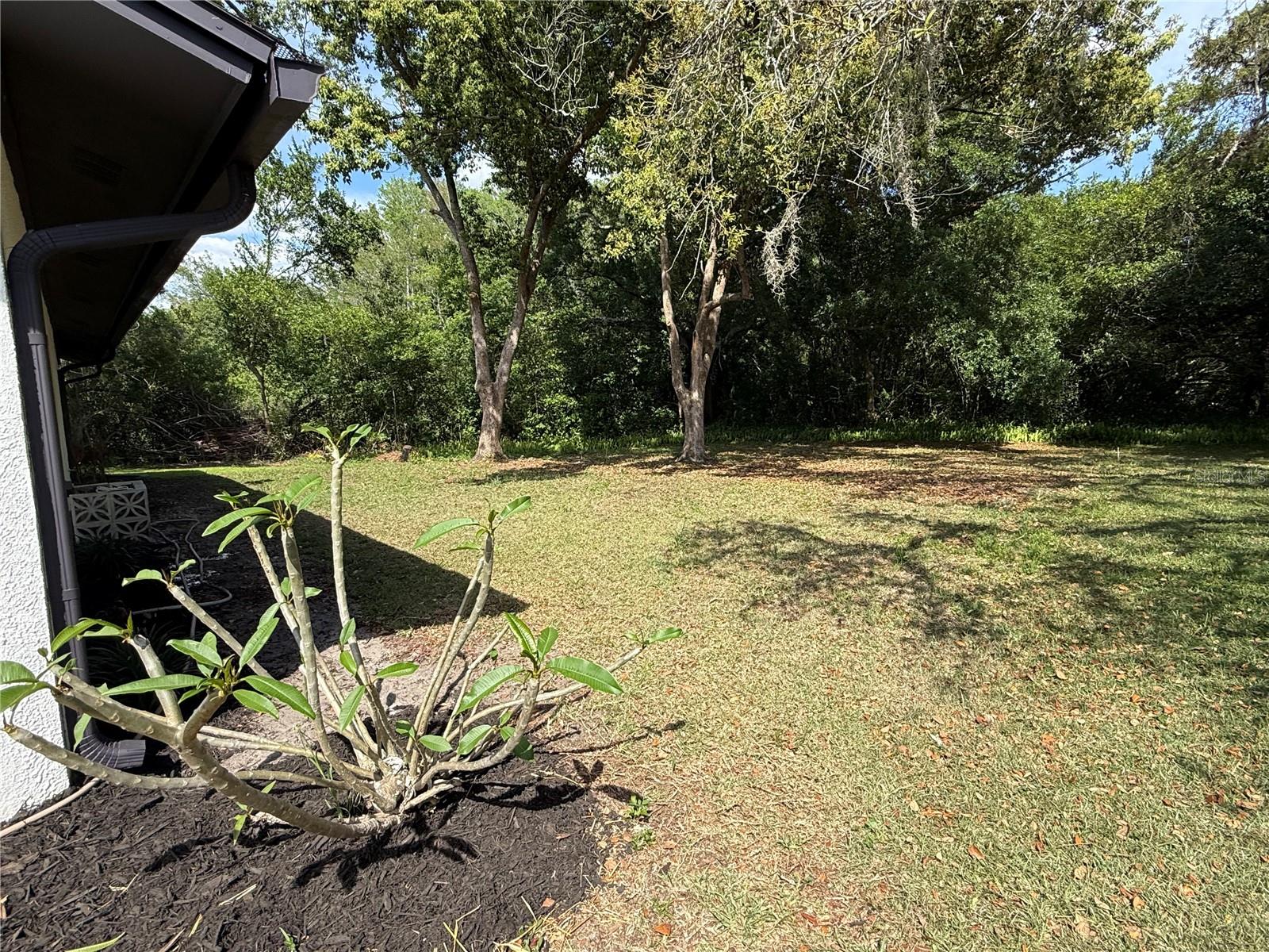 10501 HARDWOOD CT, PORT RICHEY, FL — photo 30