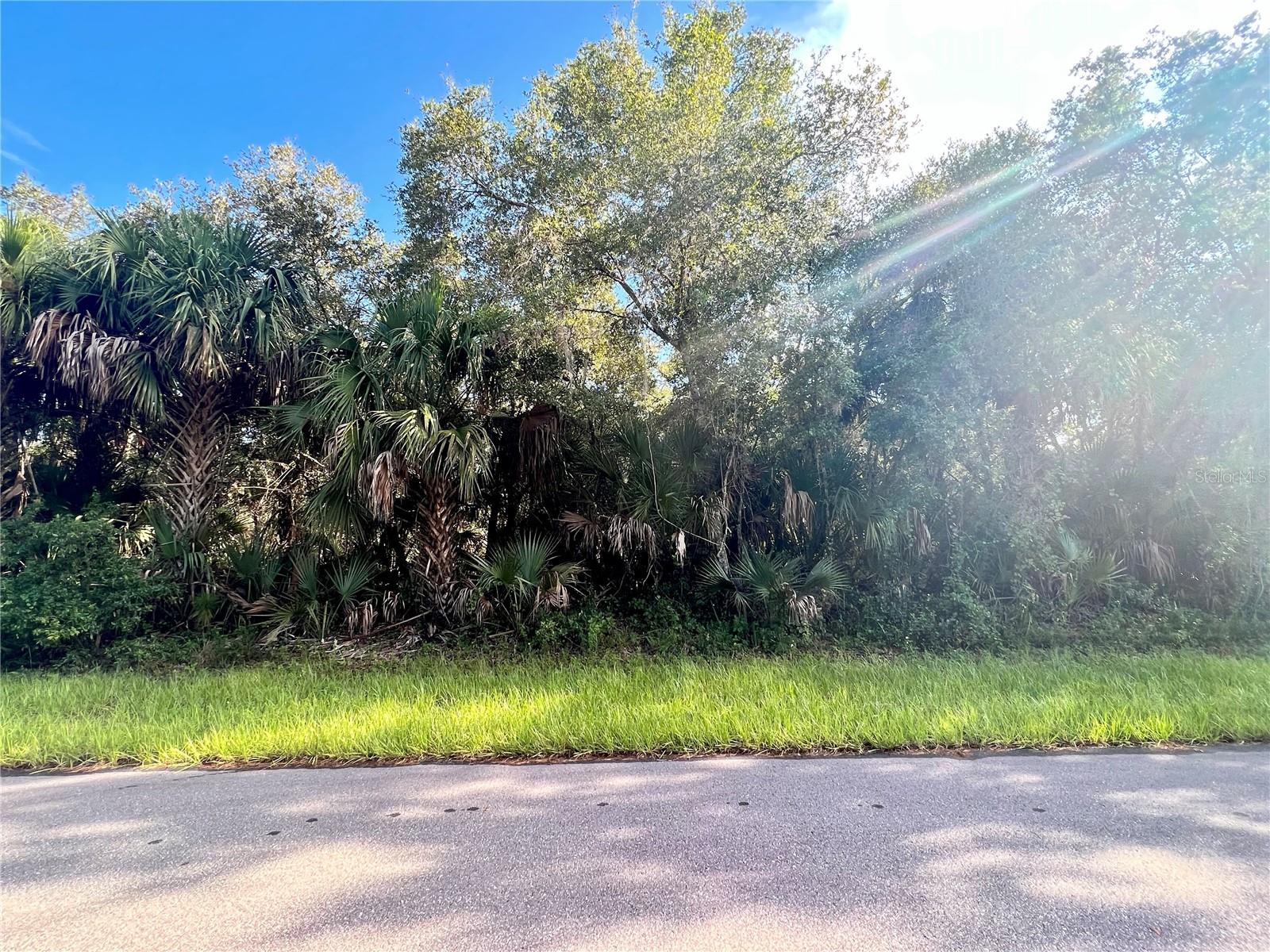 14463 BLACK AVE, PORT CHARLOTTE, FL