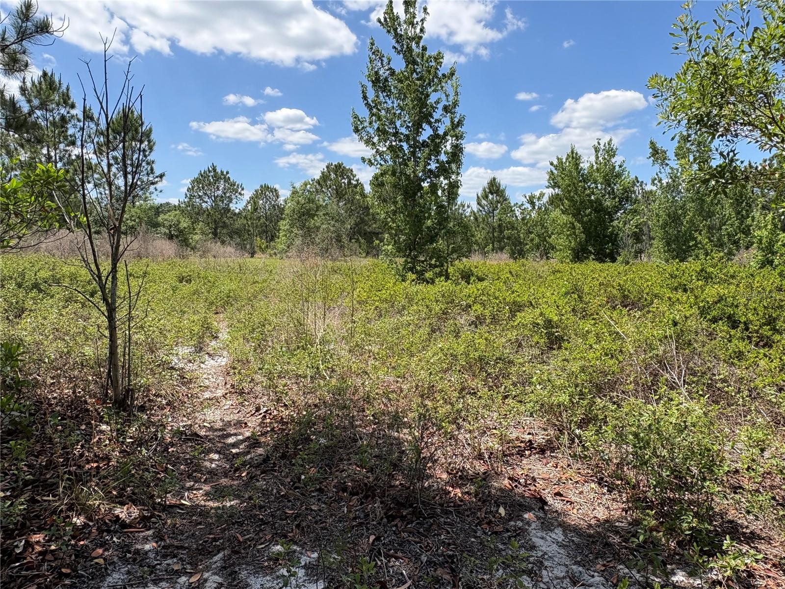 SAN JUAN AVE #LOT 29, POLK CITY, FL
