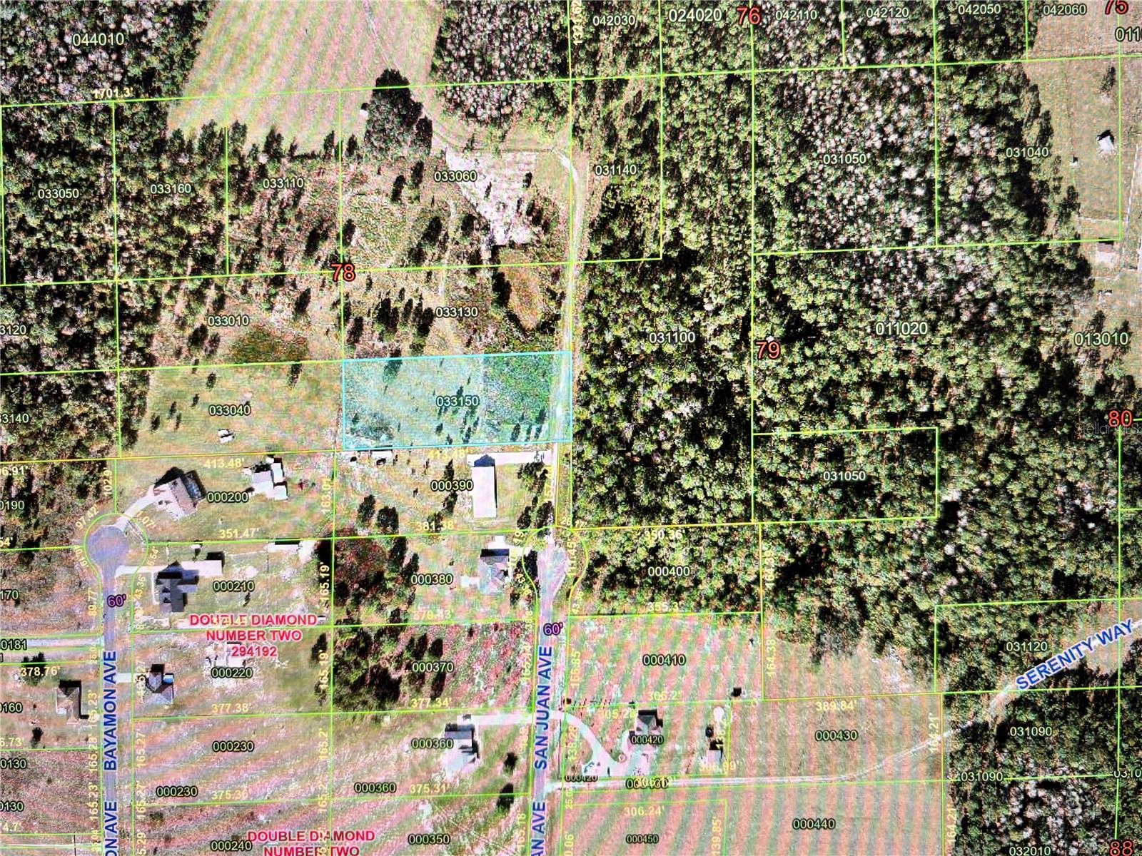 SAN JUAN AVE #LOT 29, POLK CITY, FL — photo 2