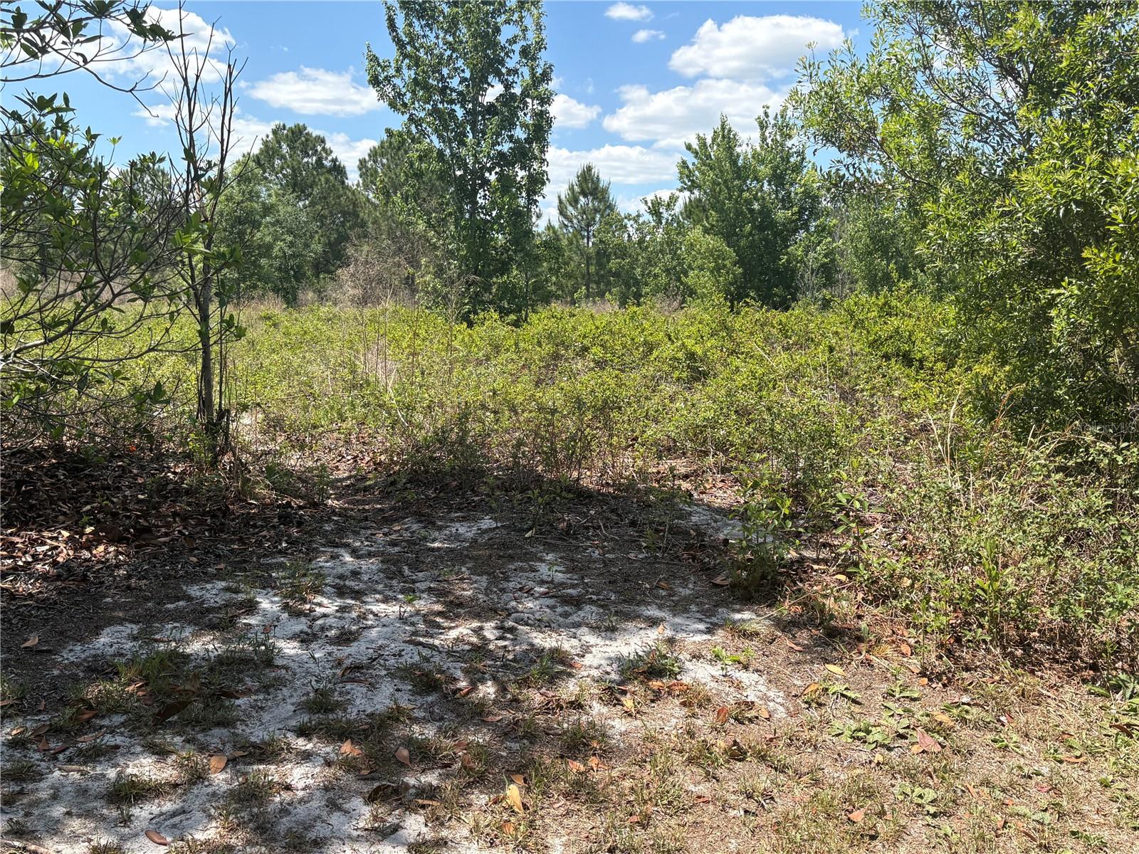SAN JUAN AVE #LOT 29, POLK CITY, FL — photo 4