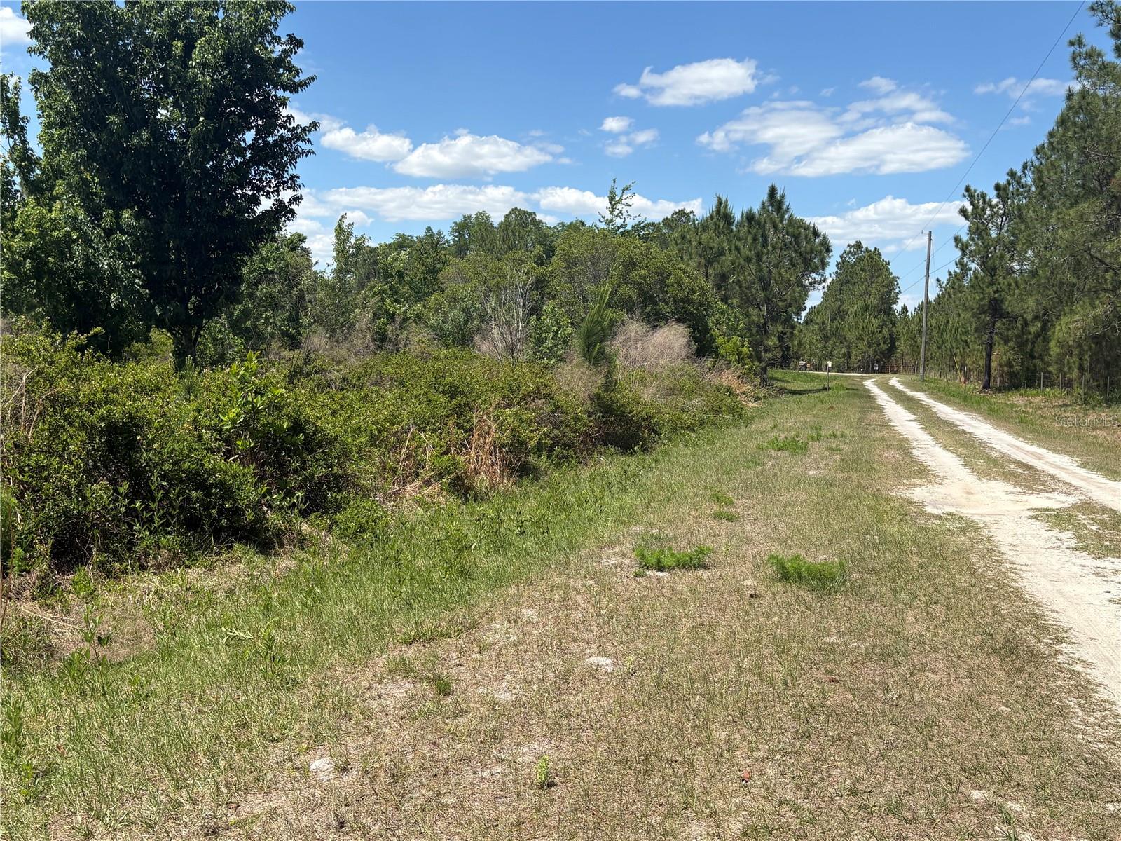 SAN JUAN AVE #LOT 29, POLK CITY, FL — photo 6