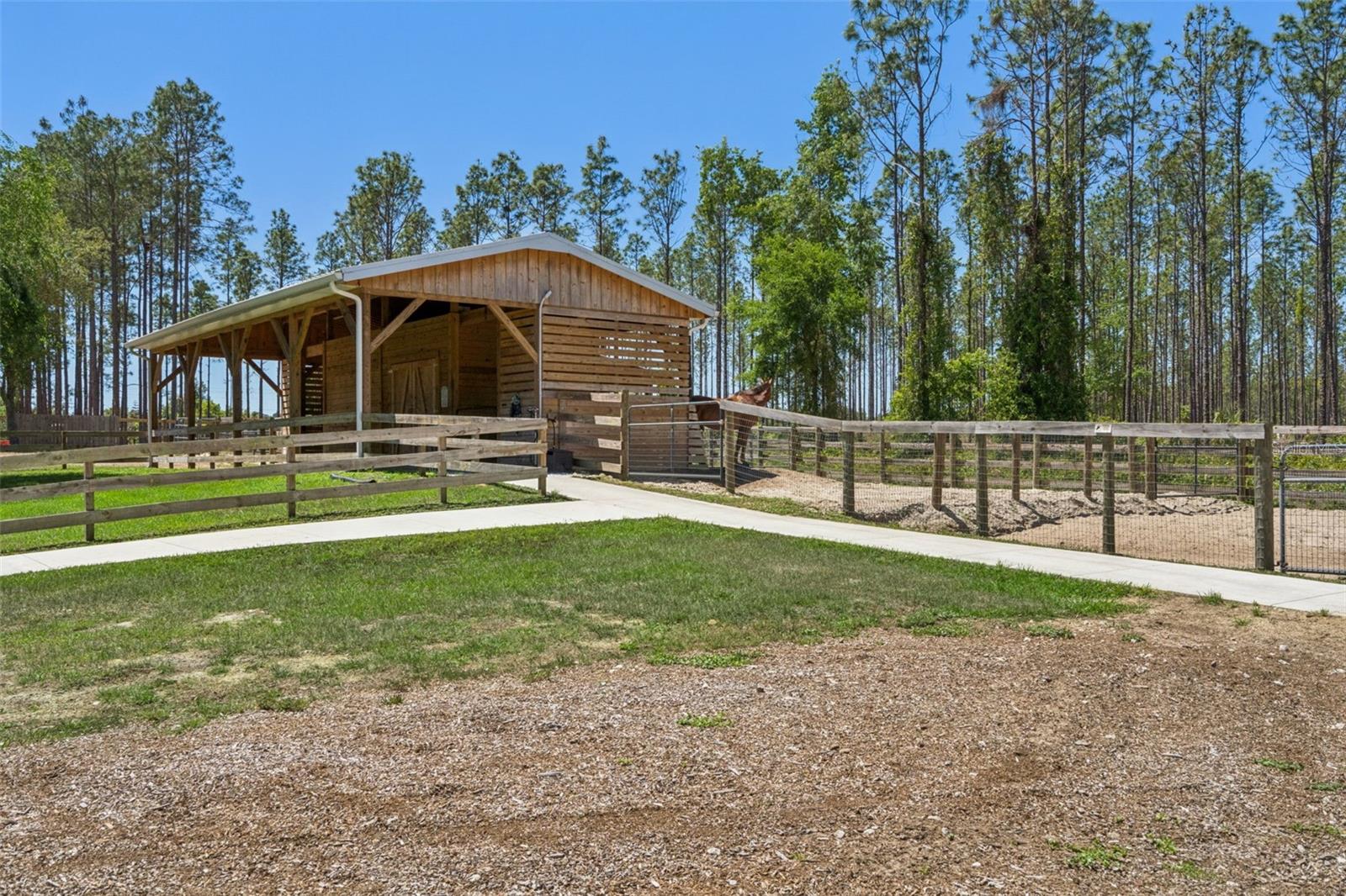 20701 COUNTY ROAD 44A, EUSTIS, FL — photo 37